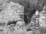 caÃ§eta-asoma-rus.jpg