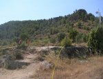 DSCN8520.jpg