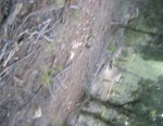DSCN8537.jpg