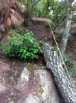 IMG-20131122-WA0005.jpg