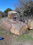 20150227_150448.jpg