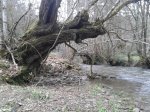 20150214_130150 rio Rodil Vilar de Vela.jpg