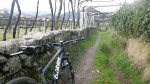 IMGP0679.JPG