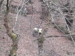 20150214_132542 subida tras ponte sobre o rio Esteleiro.jpg