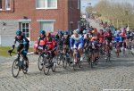 hn15-wiggobunch.jpg