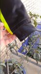 20150301_131620.jpg