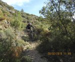 IMG_5120.jpg