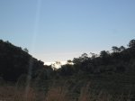 IMG_8780.JPG