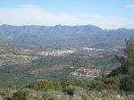 IMG_8784.JPG