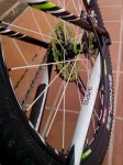 IMG_20150302_172941.jpg