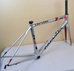 cerve r31.jpg