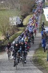 hetnieuwsblad15-sky-big.jpg