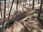 PANO_20150224_131952.jpg