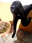 IMG_20150303_144052.jpg