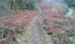 20150228_132833.jpg