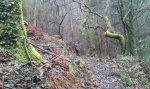 20150228_123141.jpg