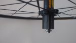 nucleo-radios.jpg
