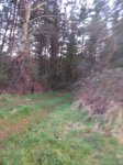 IMG-20150304-WA0006.jpg