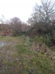 IMG-20150304-WA0005.jpg