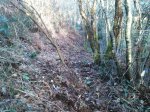 IMG-20150304-WA0001.jpg