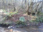 20150104_120307 Muiño de Cerredo.jpg