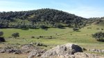 IMG-20150305-WA0012.jpg