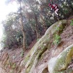 IMG_20120420_114316.jpg