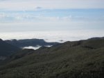 IMG_8867.JPG