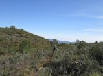 IMG_8881.JPG