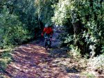 DSC07191.jpg
