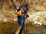 DSC07207.jpg