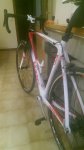 IMAG0007.jpg