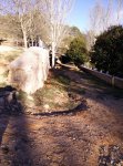 IMG_20150307_172940.jpg