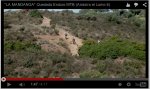 Captura de pantalla 2015-03-08 a las 20.55.56.jpg