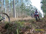 ruta viso 032.jpg