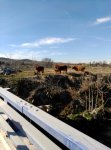 IMG_20150308_095505.jpg