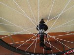 20150305_125440.jpg