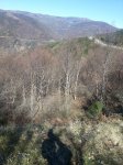 20150305_134521.jpg