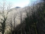 20150307_141010.jpg