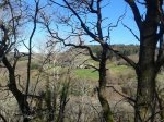 20150307_153719.jpg