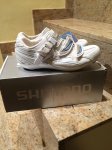Shimano1.jpg