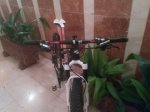 IMG_20150309_224003.jpg