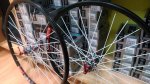 IMG-20150306-WA0013.jpeg