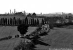 stradebianche15_15.jpg