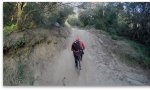 Captura de pantalla 2015-03-10 a las 20.15.15.jpg