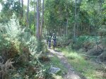 DSC05377.JPG