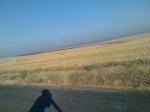 Imagen059.jpg