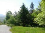 DSCN1329.jpg