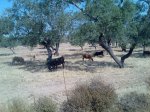 Imagen069.jpg