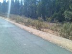 Imagen071.jpg